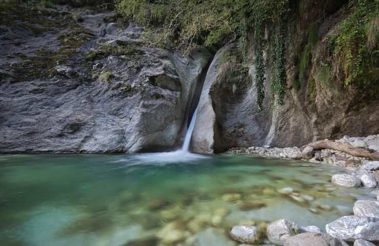 polle di malbacco in toscana